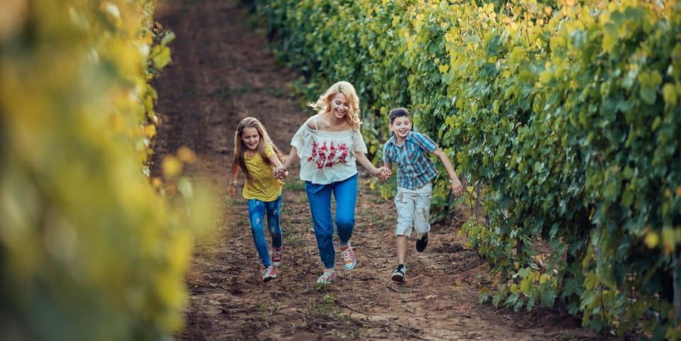 Famille se promenant dans les vignes du Château de Tauziès à Gaillac.